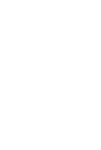 Beschrifung und Licht Die Beschriftung kann jeweils auf den unter-schiedlichen Oberflächen aufgedruckt werden. Milchglasfolie als auch Stoff ist bedruckbar. Ein dünnes, flexibles Beleuchtungssystem wird im Eck der Vitrine von unten eingeführt, und sorgt so für die Beleuchtung der Objekte.